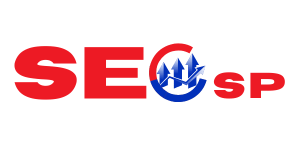 seo-services-provider-logo_2